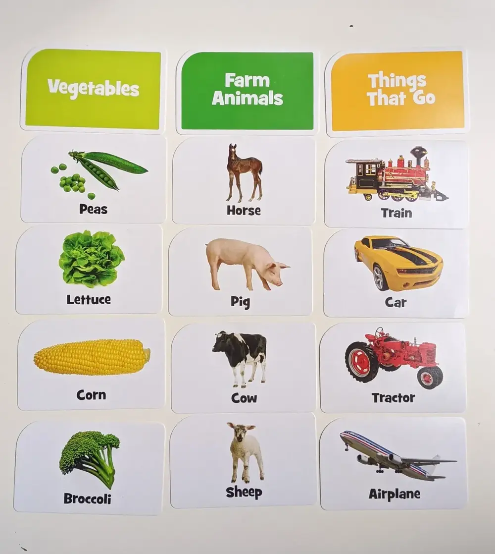 Picture cards organized by category for speech and language activities